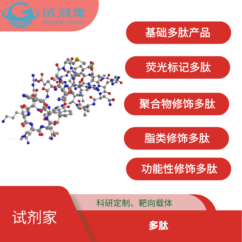 A54肽-聚乙二醇-阿霉素