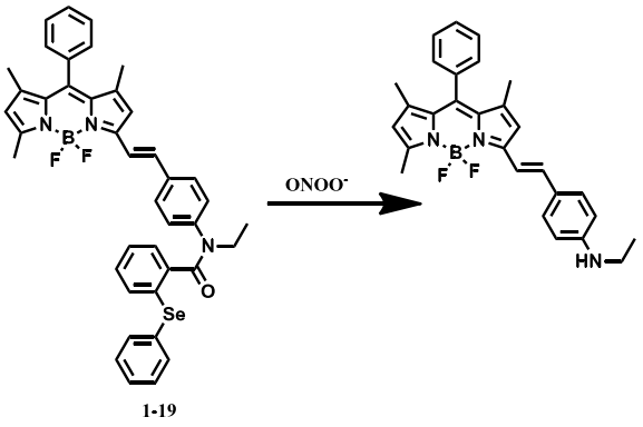 单品推荐：检测过氧化亚硝酰荧光探针:氟硼二吡咯/香豆素/罗丹明