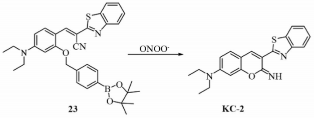 单品推荐：检测过氧化亚硝酰荧光探针:氟硼二吡咯/香豆素/罗丹明