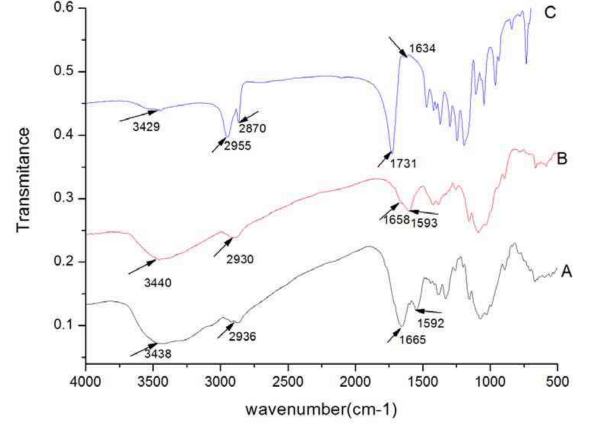 试剂家Gal-CS聚己内酯接枝半乳糖化壳聚糖(Gal-CS-g-PCL) 衍生物-合成步骤及图解分享 