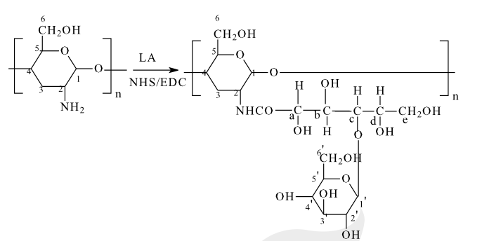 试剂家Gal-CS聚己内酯接枝半乳糖化壳聚糖(Gal-CS-g-PCL) 衍生物-合成步骤及图解分享 