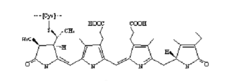 试剂家---流式荧光染料——别藻蓝蛋白APC简介