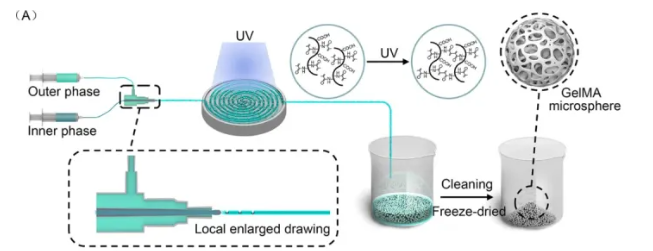 试剂家介绍——光固化水凝胶微球 试剂家介绍——光固化水凝胶微球