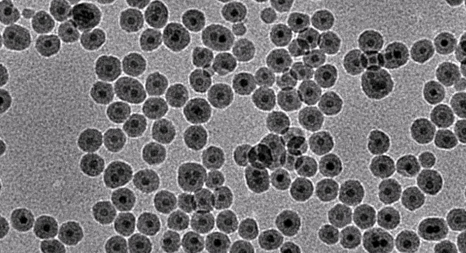 Carboxyl-SiO2@Fe3O4 ，二氧化硅包裹SiO2-Fe3O4超顺磁纳米粒COOH化