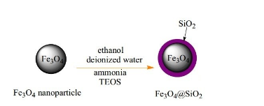 SiO2 coating Fe3O4 nanoparticles，1317-61-9 ，磁性纳米粒