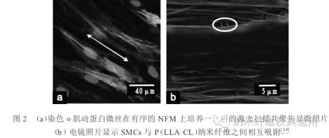 静电纺丝纳米纤维膜(NFM)的应用