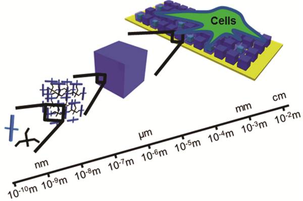 金属-有机骨架模板的生物材料：合成、功能化和应用