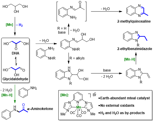 Mo2C-MoOx异质结构电催化剂的原位重构