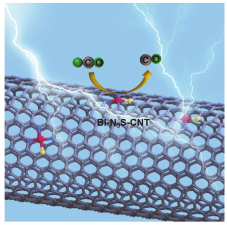 N，S共配位的Bi位点增强CO2电还原