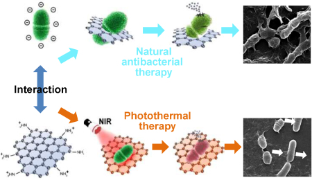 功能化氧化石墨烯纳米片高效抗菌