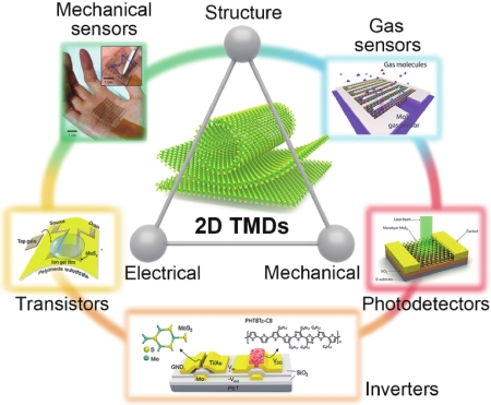 二维TMD柔性电子