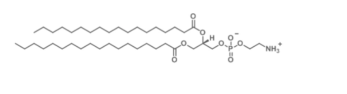 Pt(IV)-PEG-DSPE,二硬脂酰基磷脂酰乙醇胺PEG修饰金属