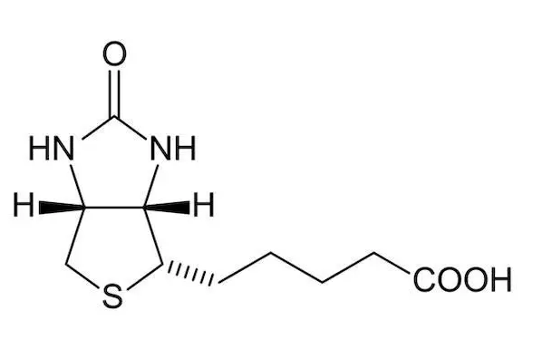 生物素 生物素