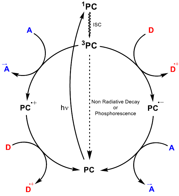 试剂家教你如何选择试用的光敏剂