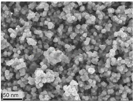 Fe3O4-MSNs 四氧化三铁磁性纳米颗粒-试剂家提供   