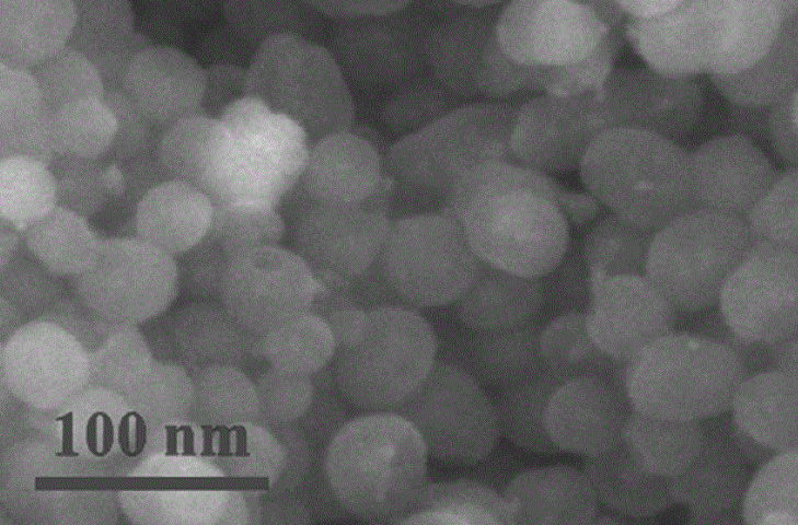 β-环糊精-四氧化三铁纳米磁珠的制备-试剂家小编