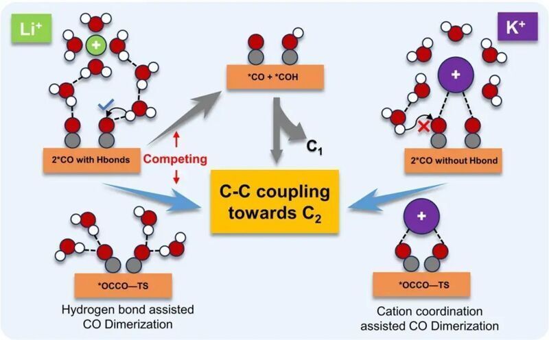 C-C耦合新设计！阳离子诱导疏水界面促进电催化CO2RR