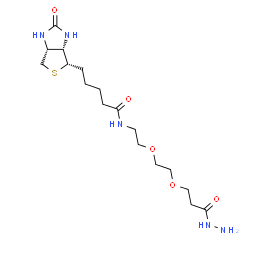 生物素-PEG2-酰肼;2413847-26-2;Biotin-PEG2-Hydrazide 生物素-PEG2-酰肼;2413847-26-2;Biotin-PEG2-Hydrazide