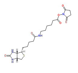 生物素化-epsilon-氨基己酸-N-羟基丁二酰亚胺活化酯;72040-63-2;Biotin-C5-NHS Ester 生物素化-epsilon-氨基己酸-N-羟基丁二酰亚胺活化酯;72040-63-2;Biotin-C5-NHS Ester