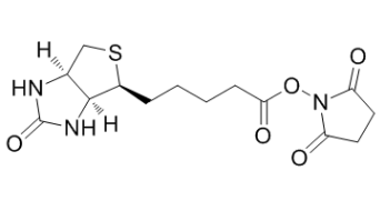 (+)生物素-N-琥珀酰亚胺基酯;35013-72-0;Biotin NHS (+)生物素-N-琥珀酰亚胺基酯;35013-72-0;Biotin NHS