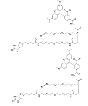 四甲基罗丹明-叠氮-聚乙二醇-生物素;1797415-74-7;TAMRA-Azide-PEG-Biotin 四甲基罗丹明-叠氮-聚乙二醇-生物素;1797415-74-7;TAMRA-Azide-PEG-Biotin