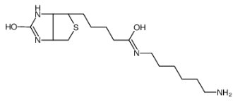 N-Biotinyl-1,6-hexanediamine;65953-56-2;N-生物素基-1,6-己二胺 N-Biotinyl-1,6-hexanediamine;65953-56-2;N-生物素基-1,6-己二胺