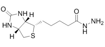 D-生物素酰肼;(+)-Biotin hydrazide D-生物素酰肼;(+)-Biotin hydrazide