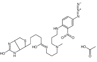 光敏生物素 乙酸盐;96087-38-6;Photobiotin acetate salt 光敏生物素 乙酸盐;96087-38-6;Photobiotin acetate salt