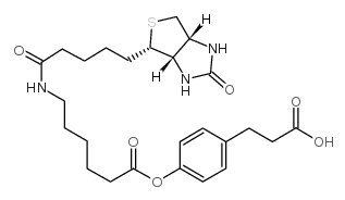 3-(4-(N-生物素-6-氨基己羧基)苯基)丙酸;3-(4-(N-Biotinoyl-6-aminocaproyloxy)phenyl)propionic acid 3-(4-(N-生物素-6-氨基己羧基)苯基)丙酸;3-(4-(N-Biotinoyl-6-aminocaproyloxy)phenyl)propionic acid
