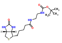 N-Boc-2-生物素酰氨基乙胺;N-BOC-BIOTINYLETHYLENEDIAMINE N-Boc-2-生物素酰氨基乙胺;N-BOC-BIOTINYLETHYLENEDIAMINE