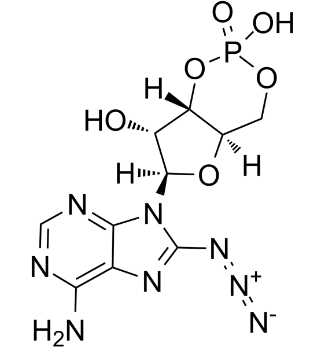 31966-52-6；8-叠氮腺苷3'：5'-环一磷酸