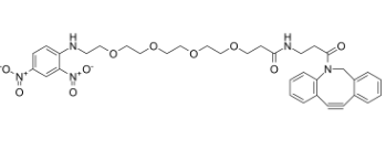 2149585-17-9；DNP-PEG4-DBCO