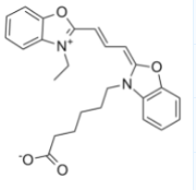 菁染料Cy2；Cy2 Carboxylic acid