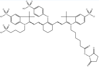 IRDye 800 NHS；IR800 NHS活性脂