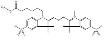 Sulfo-Cy3-Hyd-hydrazide;水溶性Cy3-酰肼 Sulfo-Cy3-Hyd-hydrazide;水溶性Cy3-酰肼