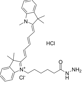 花菁染料CY5标记酰肼，Cyanine5-hydrazide